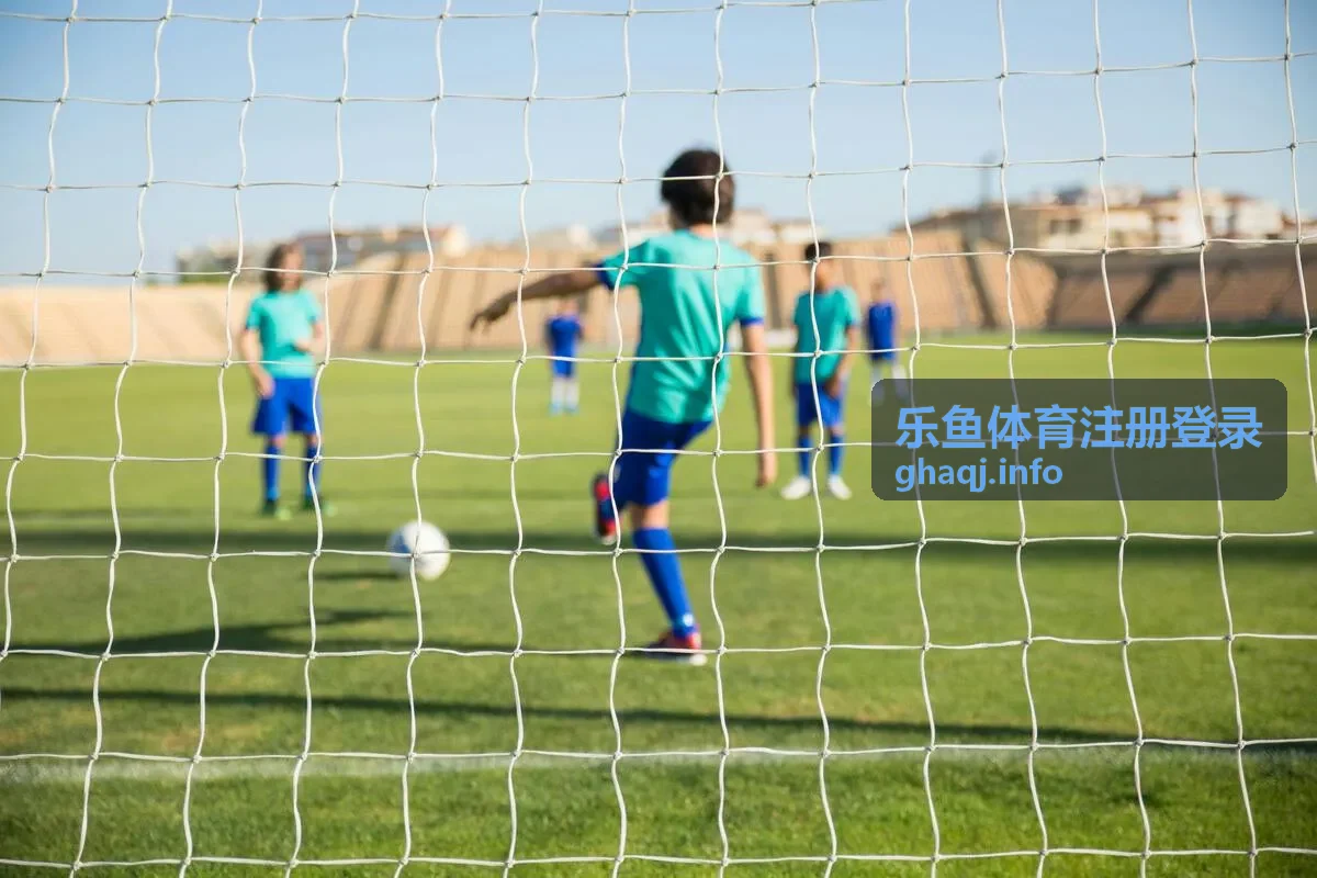 乐鱼体育日常登录使用场景